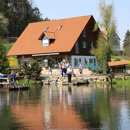 Hotel Landgasthof Hessenmühle 3*
